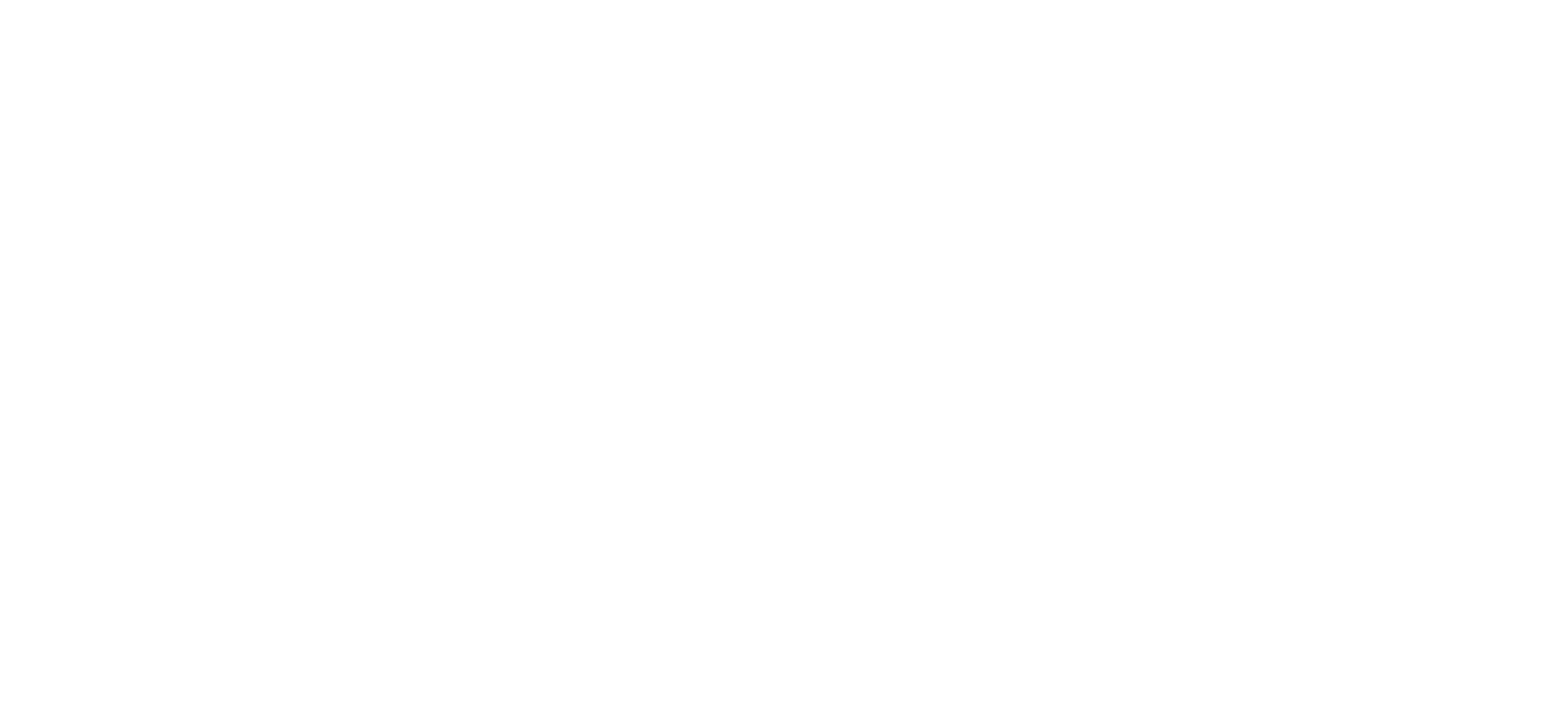 Philips Walita